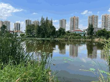 ‼️ขายที่ดินริมน้ำ ติดบึงเมืองทอง แจ้งวัฒนะ 209 ตรว.